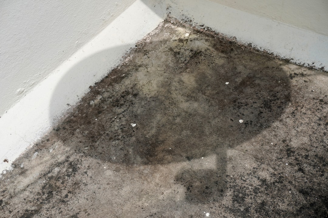 bathroom damage claims