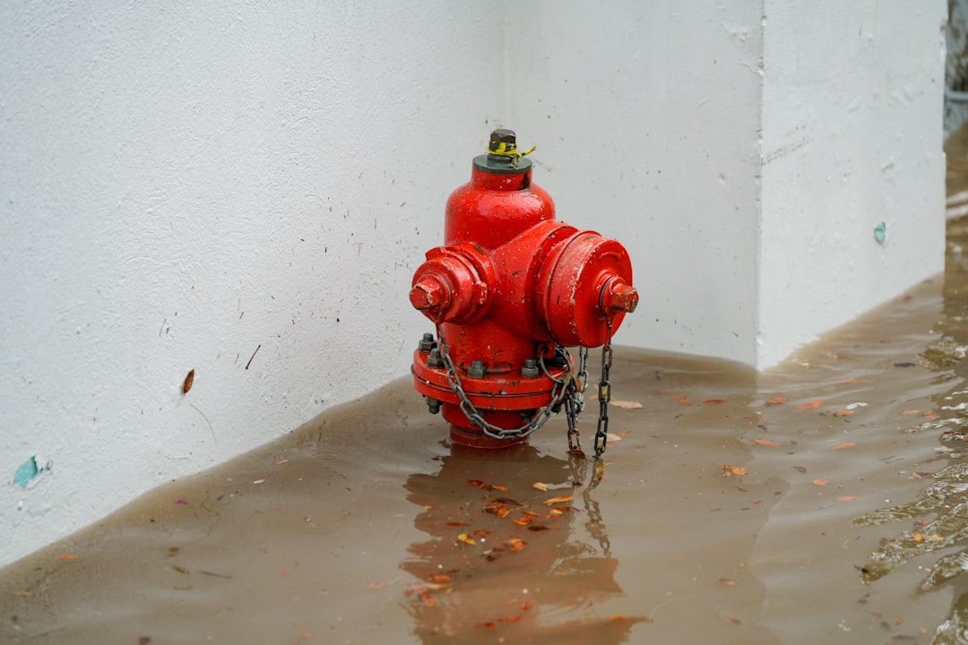 emergency water removal services