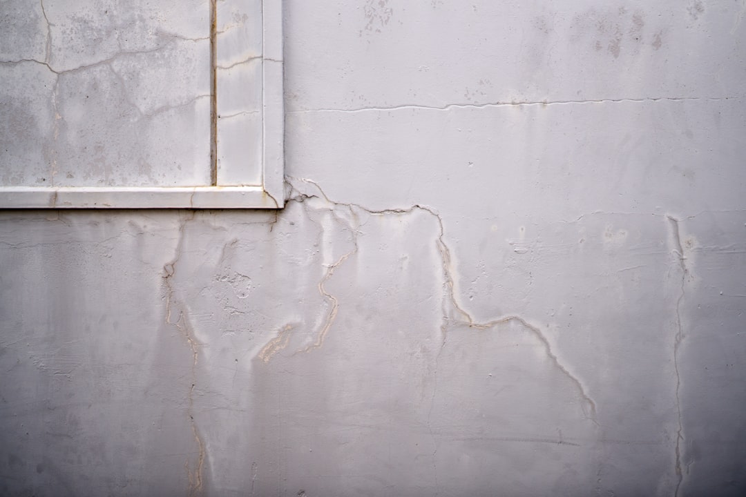 how to find a specialist for repairing water-damaged drywall
