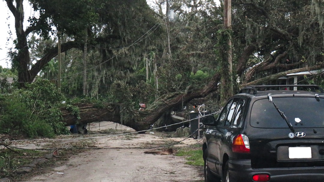 hurricane damage Florida